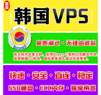 韩国VPS机房4096M国外，海外服务器租用
